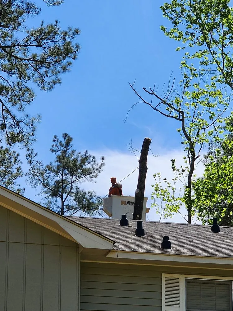 Top-rated garden landscaping experts serving Dothan, AL - Anytime Arbor Care