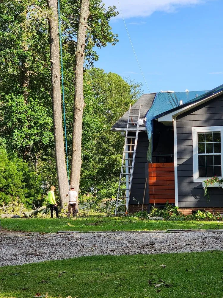 Professional landscape installation in Dothan, AL by Anytime Arbor Care