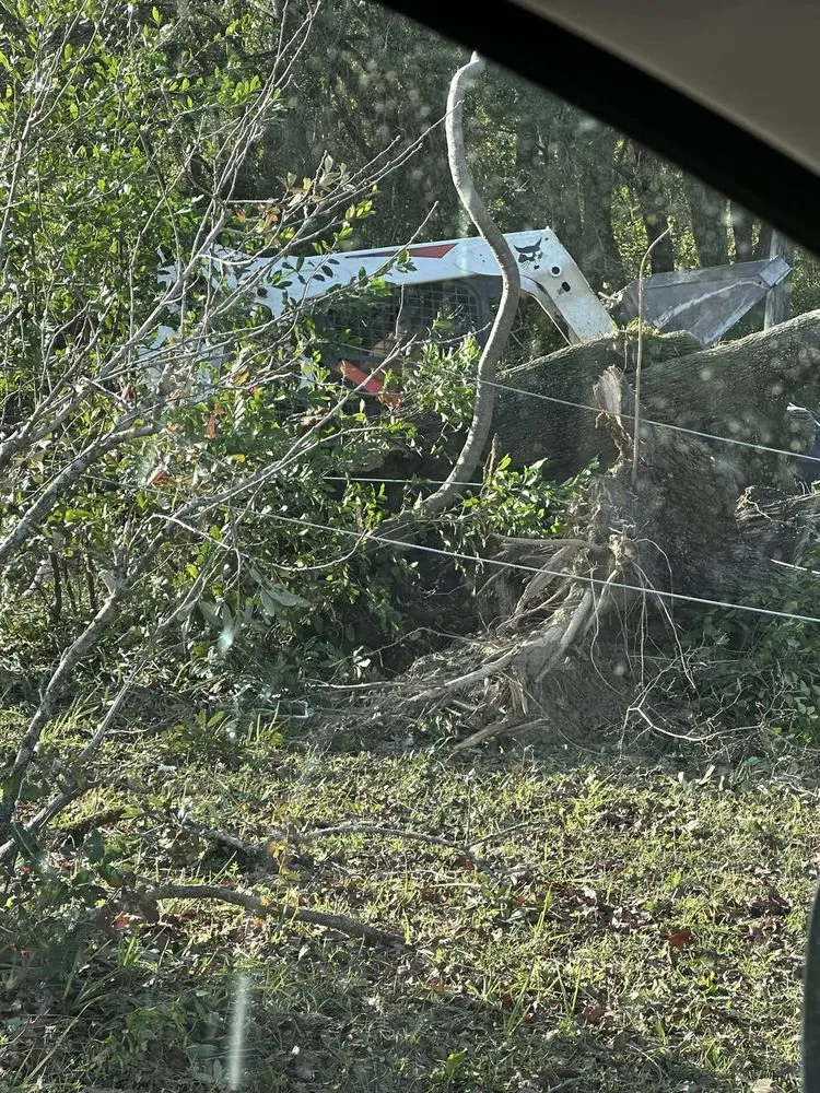 Local residential landscaping in Dothan, AL - Anytime Arbor Care