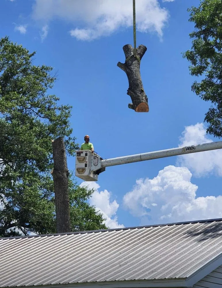 Reliable outdoor landscaping for beautiful yards in Dothan, AL by Anytime Arbor Care