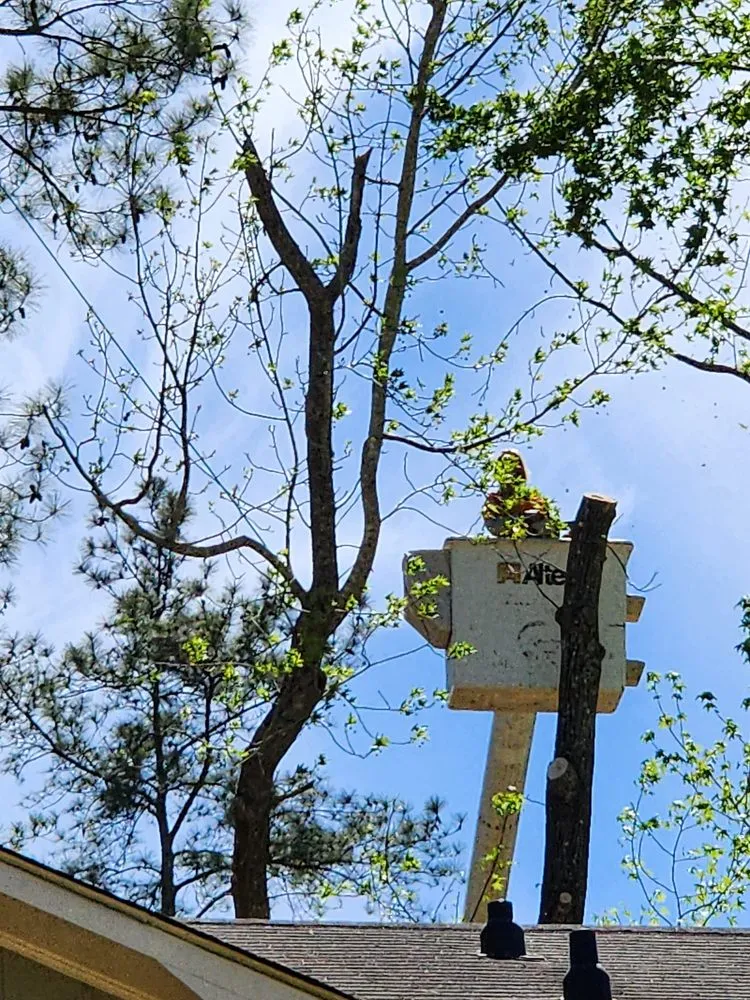 Local yard cleanup service in Dothan, AL by Anytime Arbor Care