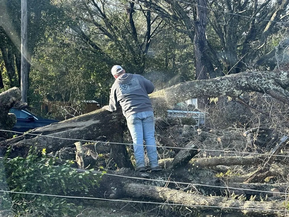Custom outdoor landscaping in Dothan, AL by Anytime Arbor Care