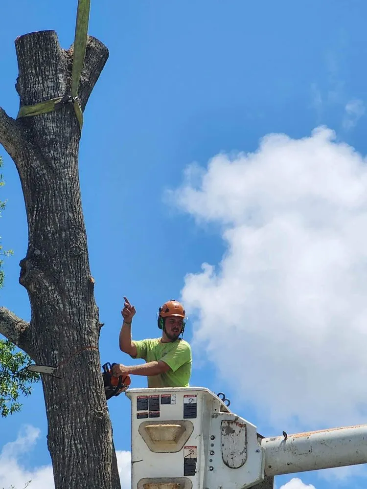 Trusted landscape installation in Dothan, AL by Anytime Arbor Care