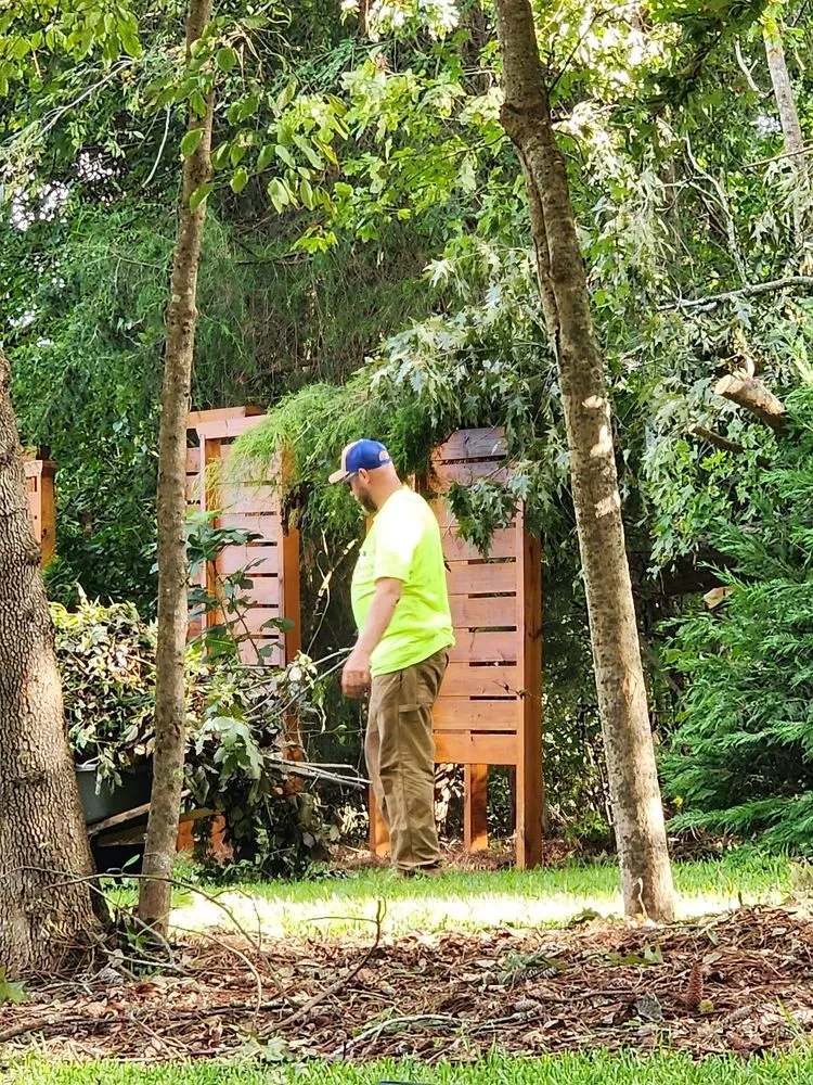 Professional yard cleanup service experts serving Dothan, AL - Anytime Arbor Care