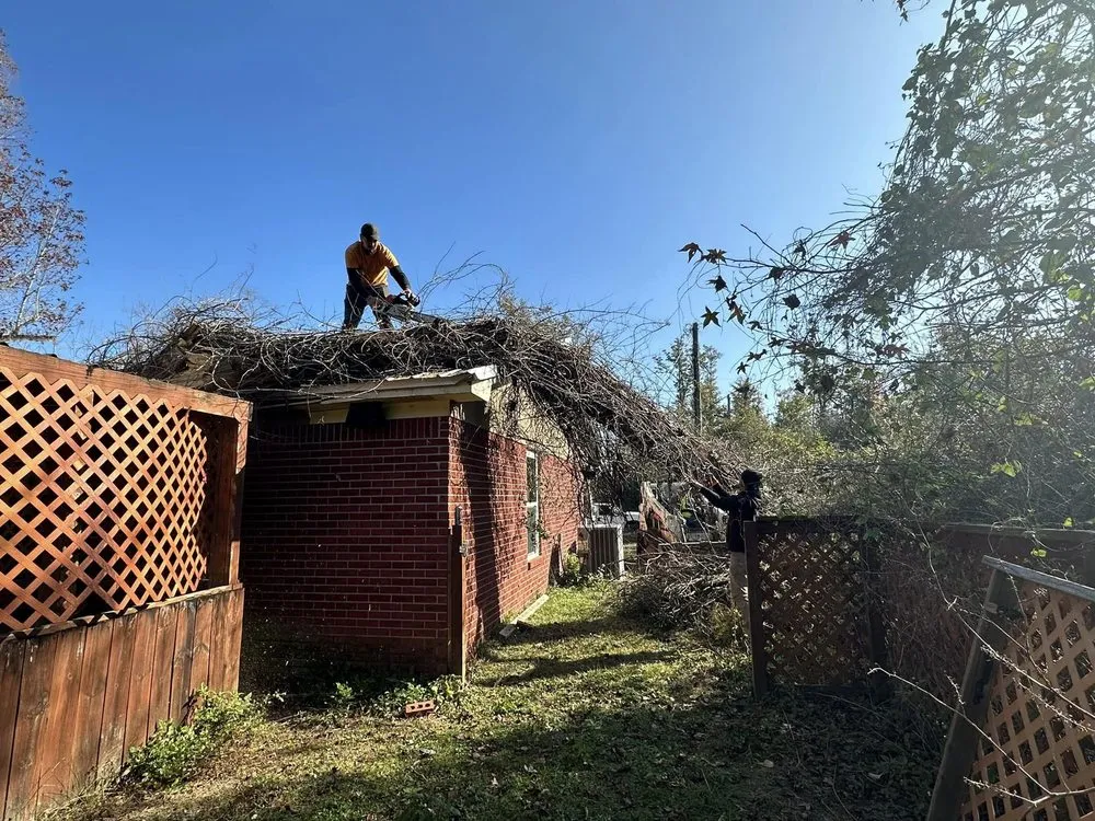 Top-rated yard maintenance in Dothan, AL - Anytime Arbor Care