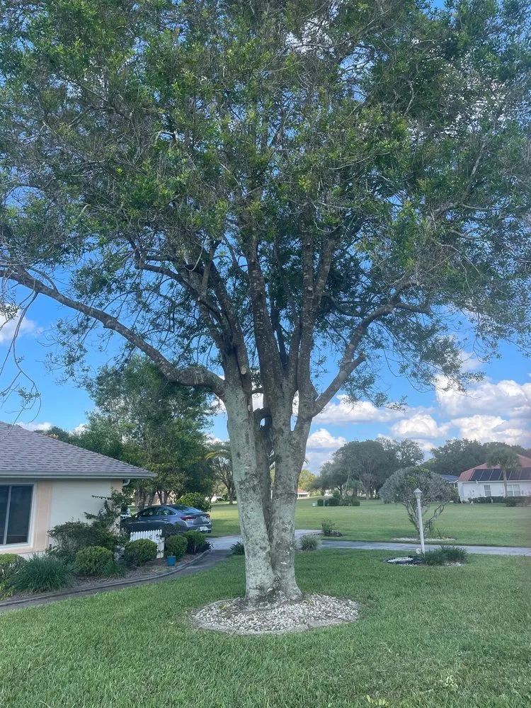 Top-rated garden landscaping for outdoor upgrades in Inverness, FL by Anytime Arboring