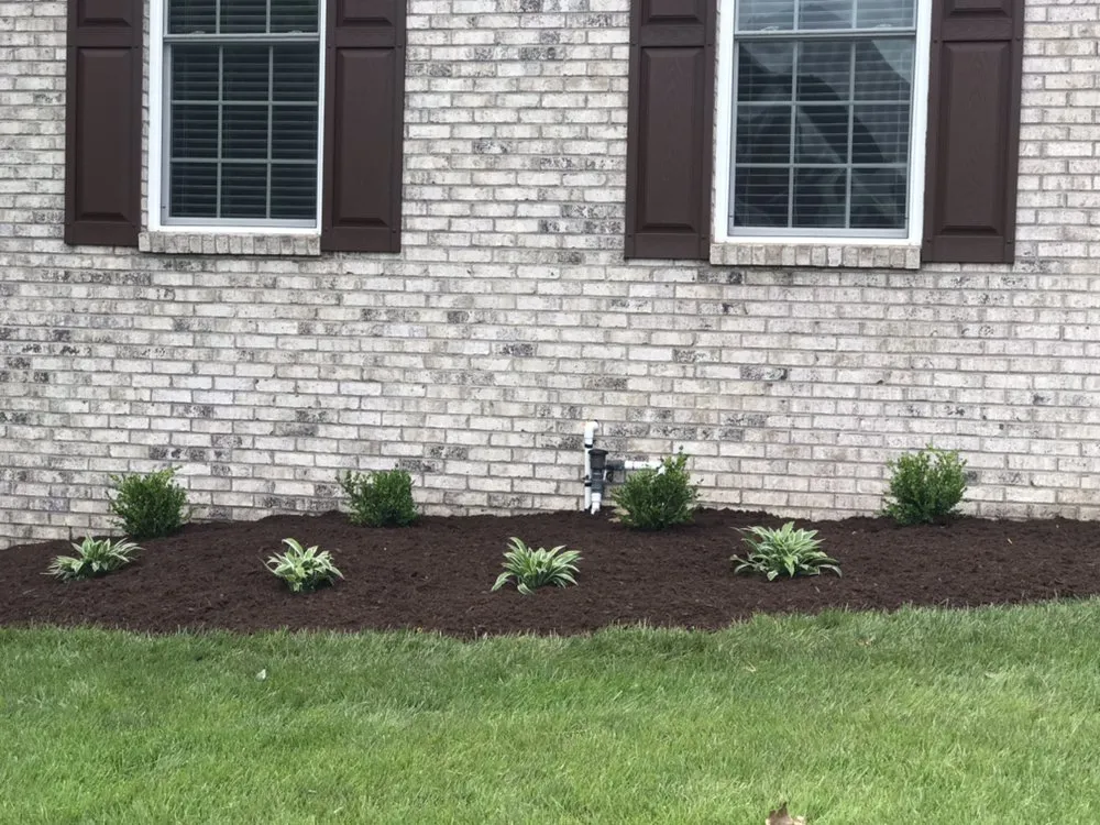 Affordable landscape design for year-round maintenance across Louisville, KY - Anytime, Grass Cut & More