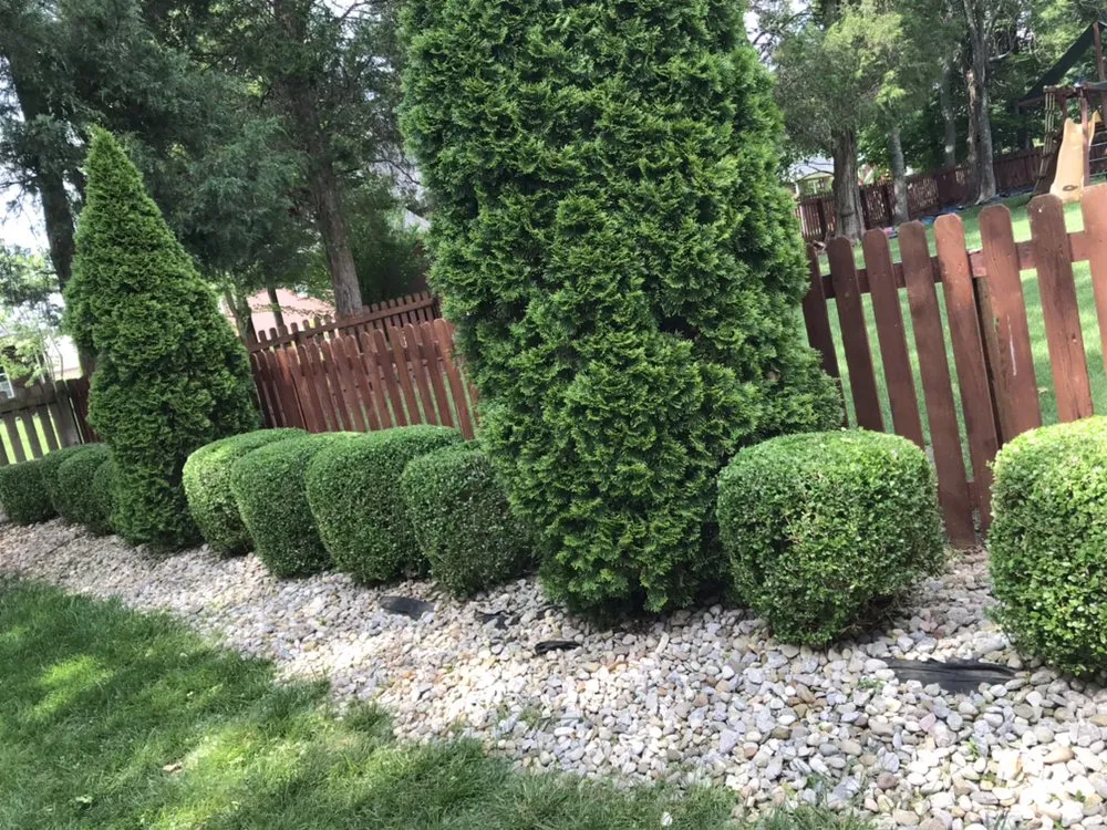 Custom lawn mowing service in Louisville, KY - Anytime, Grass Cut & More