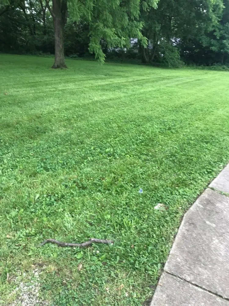 Affordable yard maintenance for homes in Louisville, KY by Anytime, Grass Cut & More