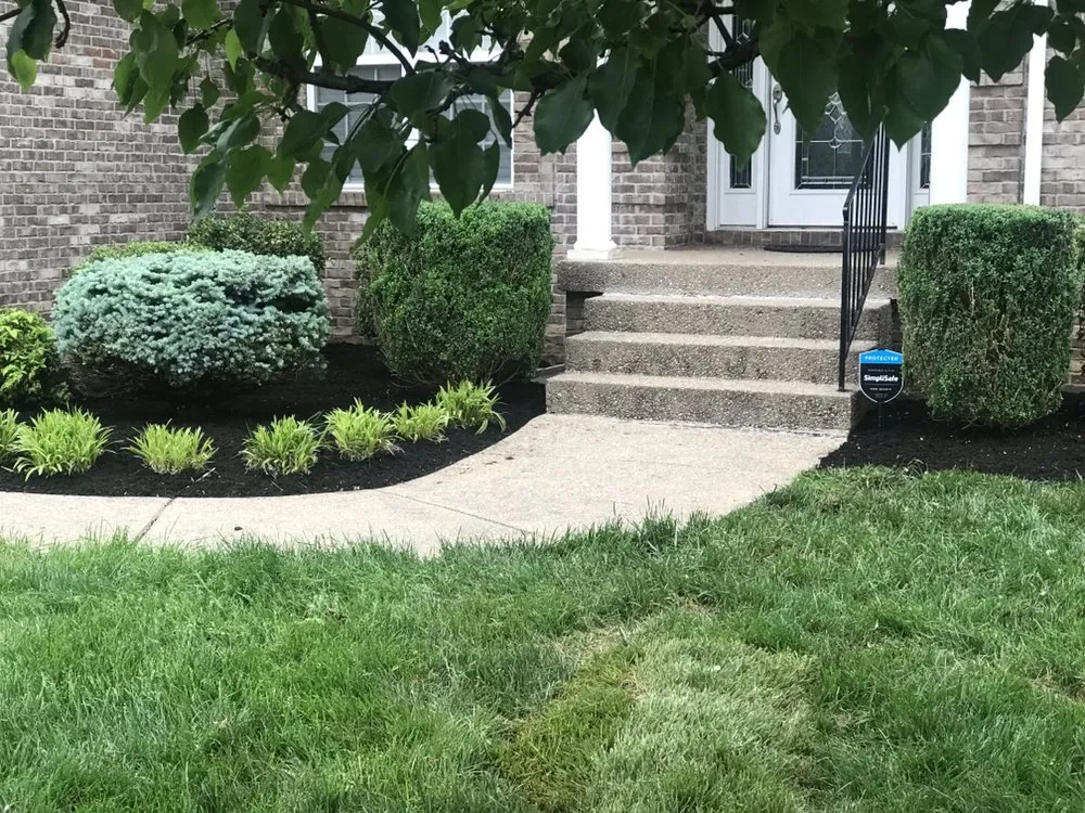 Local residential landscaping for year-round maintenance across Louisville, KY - Anytime, Grass Cut & More