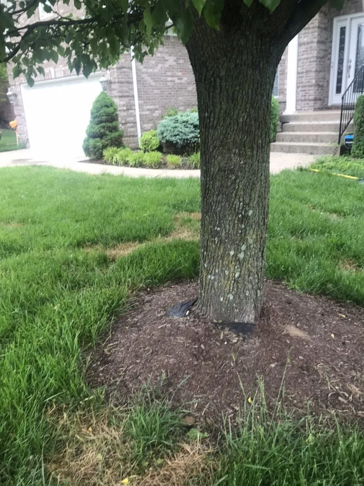 Reliable landscape design for year-round maintenance across Louisville, KY - Anytime, Grass Cut & More