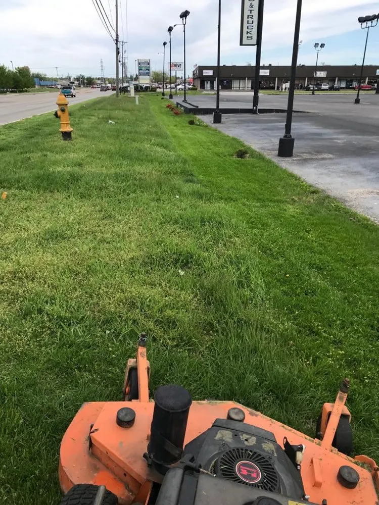 Top-rated yard cleanup service with custom design across Louisville, KY - Anytime, Grass Cut & More