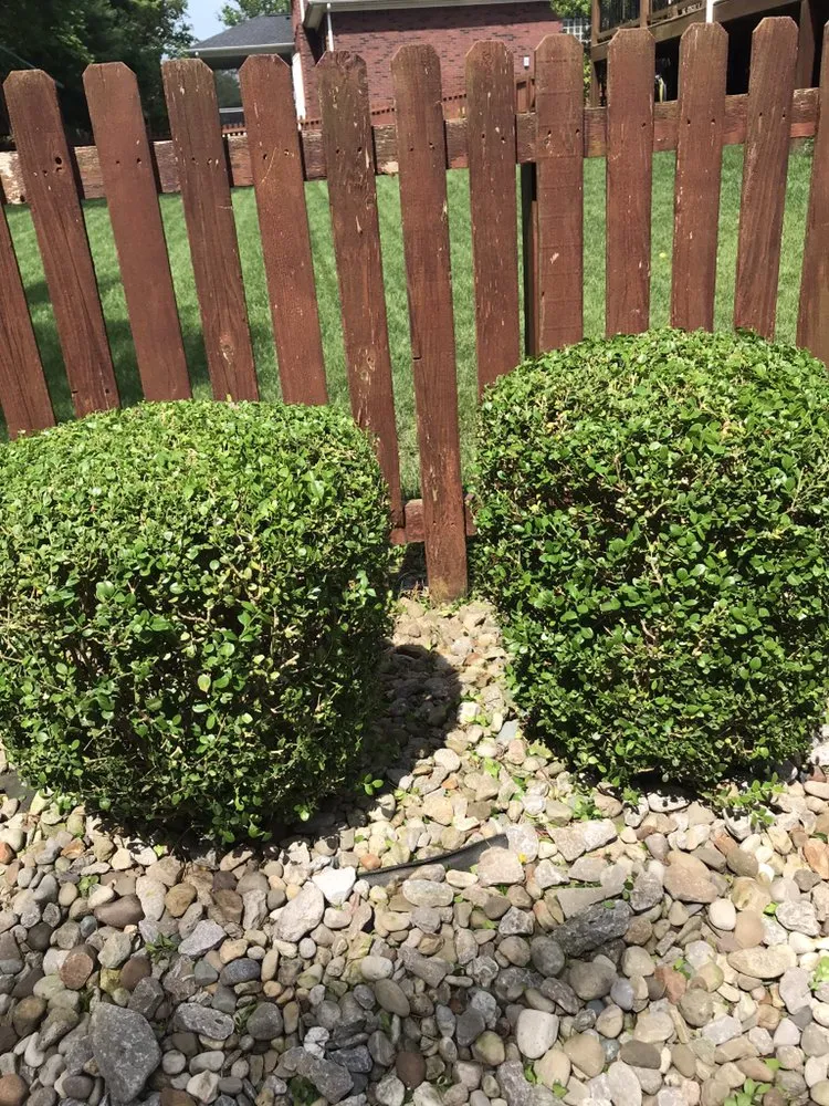 Professional garden landscaping for residential properties in Louisville, KY by Anytime, Grass Cut & More