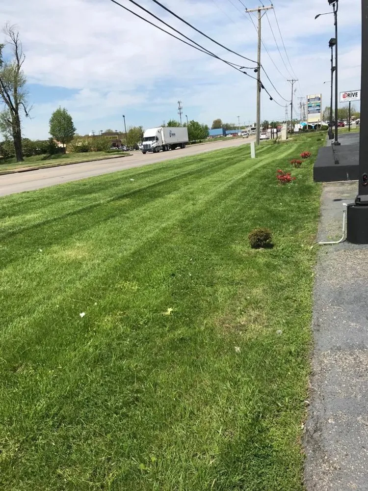 Professional outdoor landscaping experts serving Louisville, KY - Anytime, Grass Cut & More