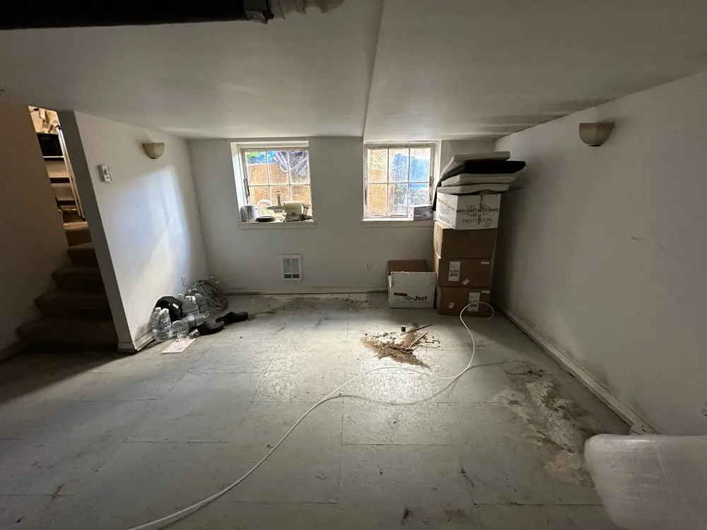 Top-rated yard maintenance for beautiful yards in Seattle, WA by Anytime Hauling & Labour Services