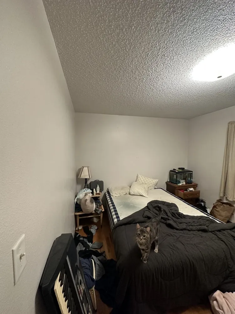 Expert lawn mowing service experts serving Seattle, WA - Anytime Hauling & Labour Services