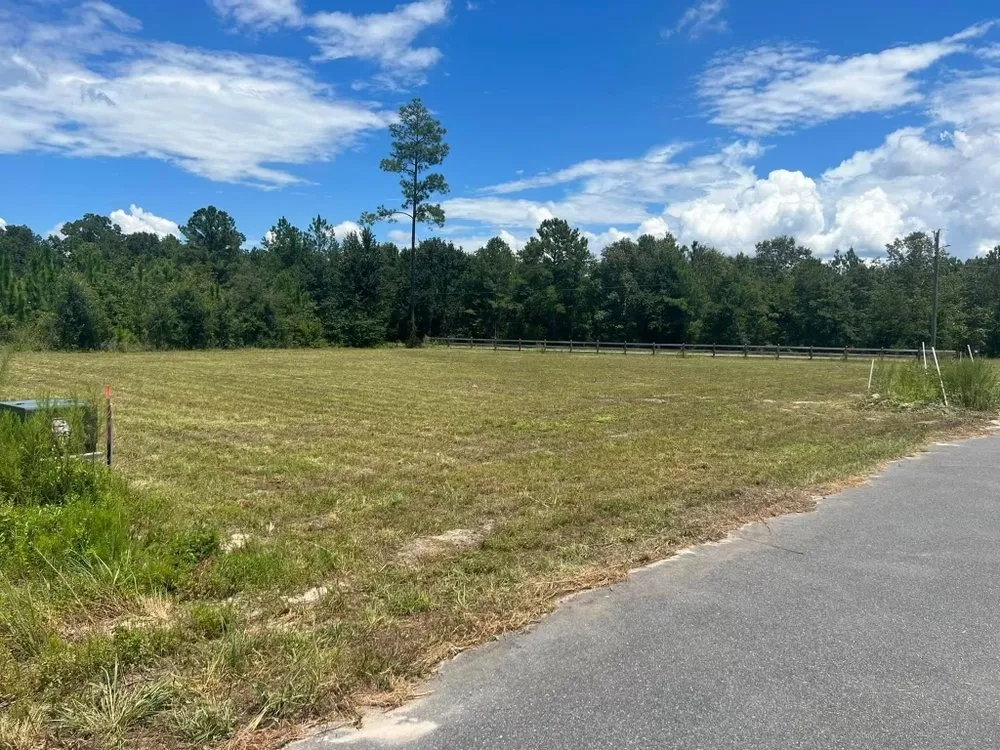 Affordable lawn care service in Hinesville, GA - Anytime Lawn Care