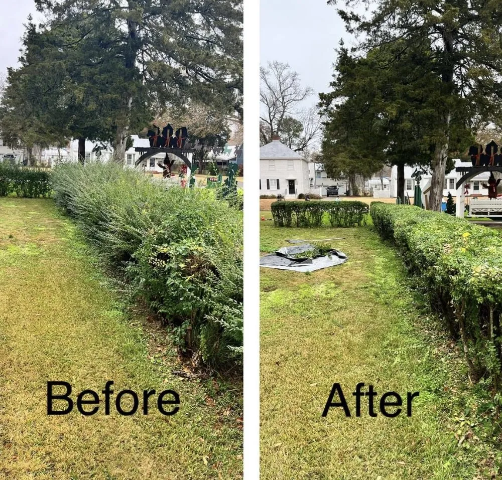 Professional outdoor landscaping experts serving Trussville, AL - Anytime Lawn Service