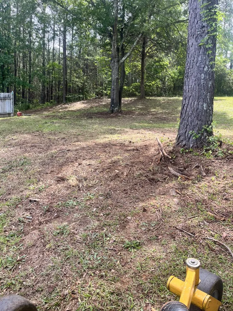 Expert lawn mowing service in Cartersville, GA by Anytime Lawn Services