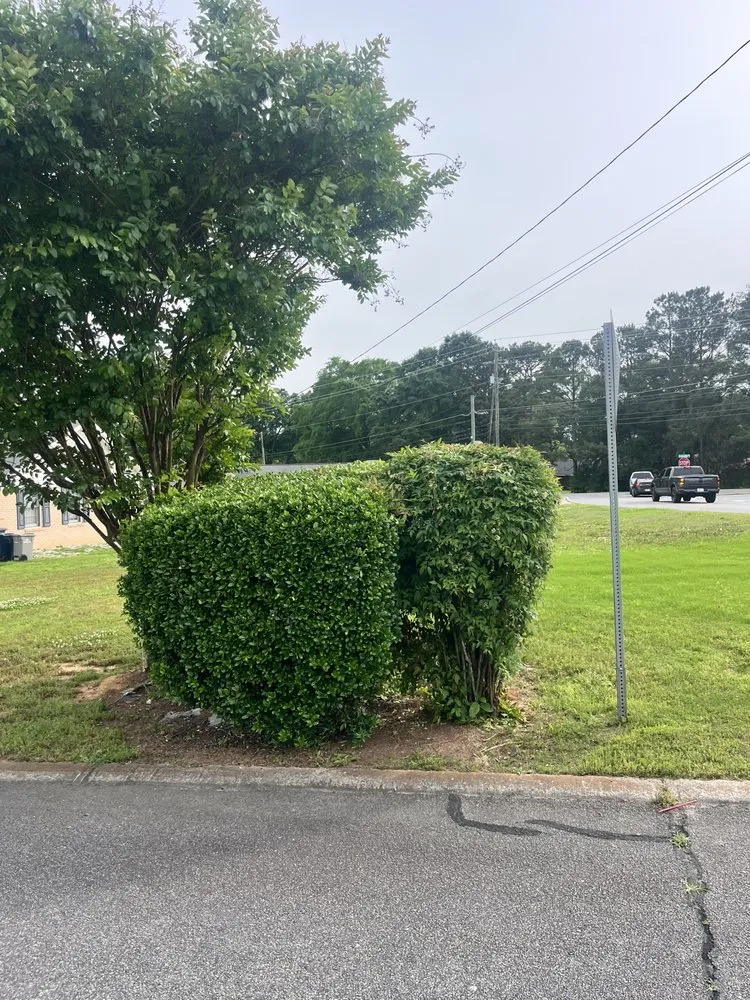 Professional garden landscaping for outdoor upgrades in Cartersville, GA by Anytime Lawn Services