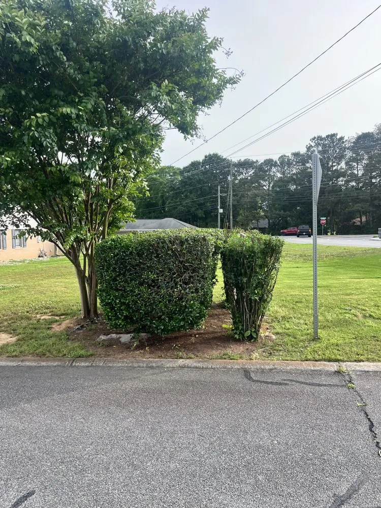 Affordable residential landscaping near you across Cartersville, GA - Anytime Lawn Services