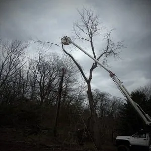 Trusted garden landscaping experts serving Phillipsburg, NJ - Anytime Property Maintenance