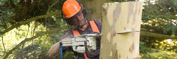 Anytime Tree Service Logo