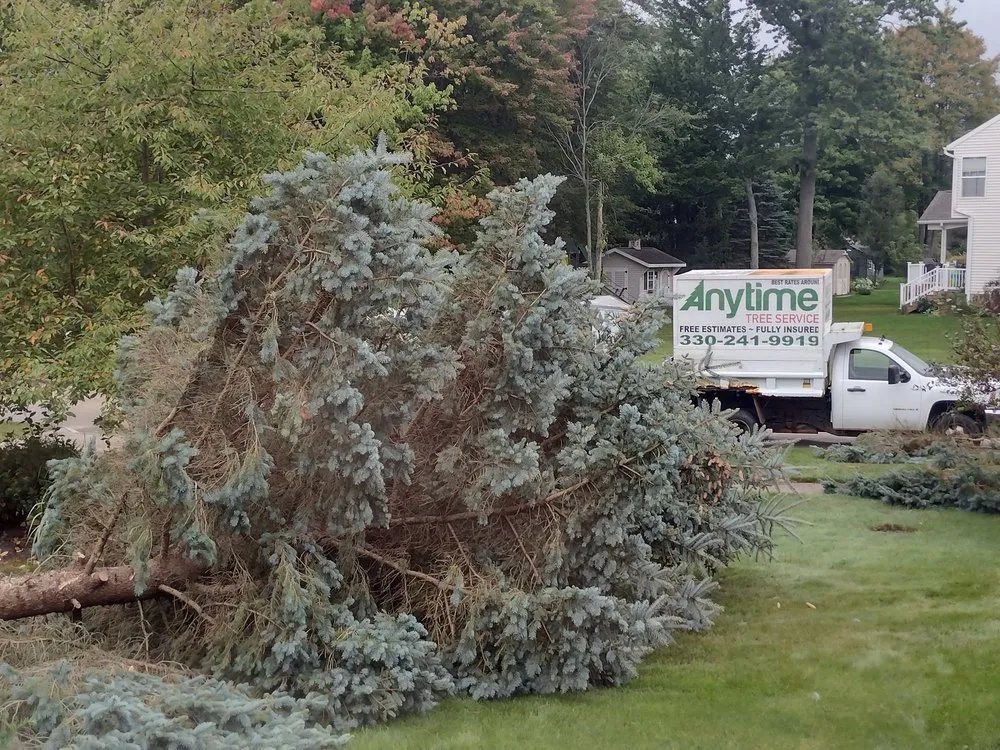 Local landscaping services in Medina, OH by Anytime Tree Service