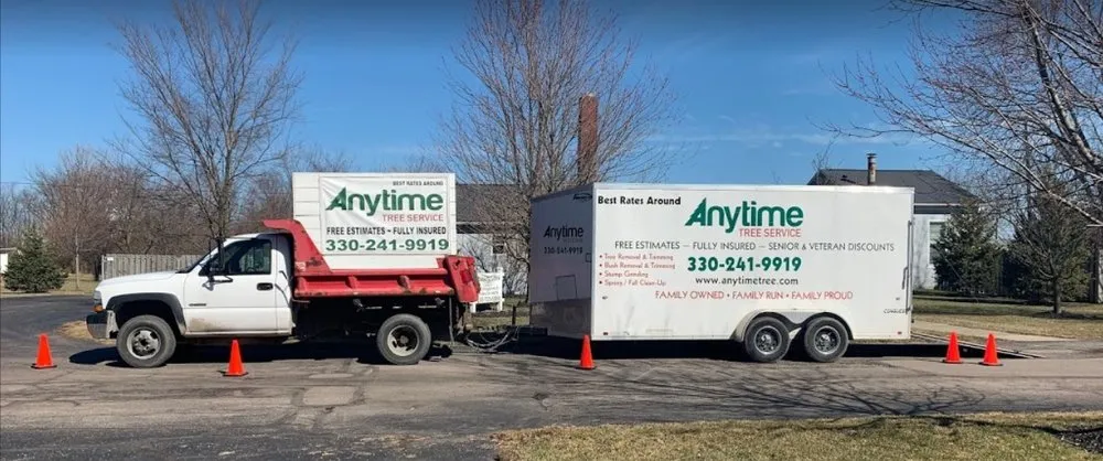 Top-rated outdoor landscaping for homes across Medina, OH - Anytime Tree Service