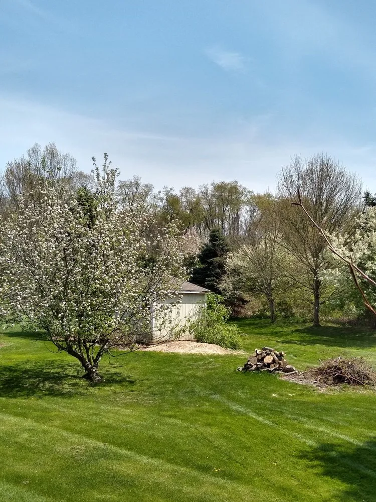 Custom lawn care service experts serving Medina, OH - Anytime Tree Service