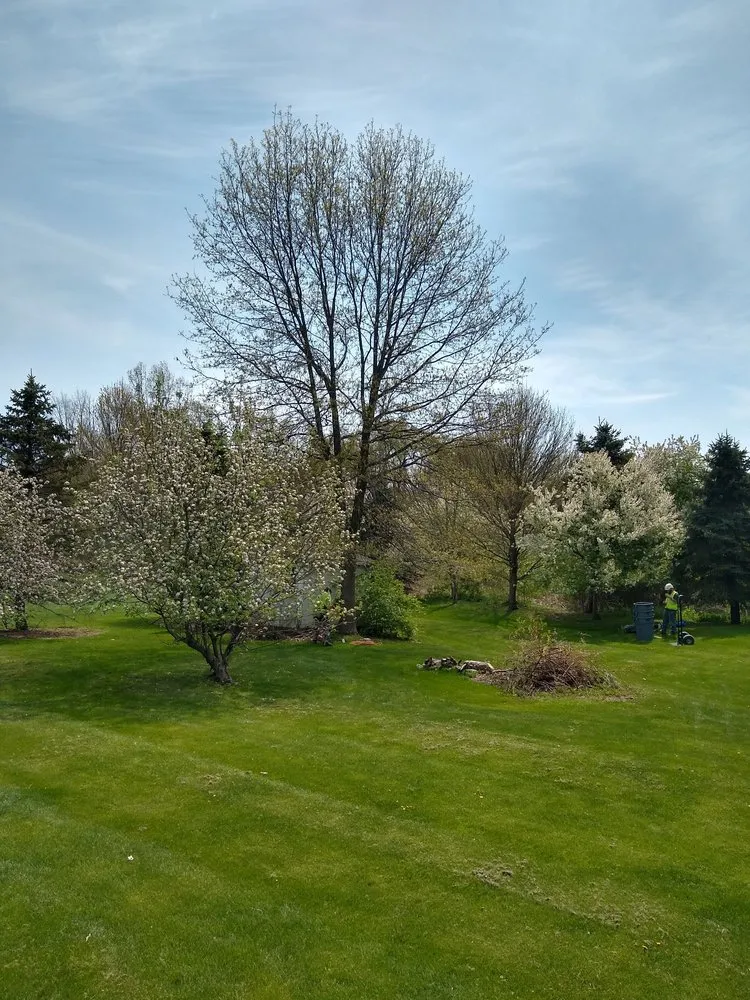 Top-rated lawn mowing service experts serving Medina, OH - Anytime Tree Service