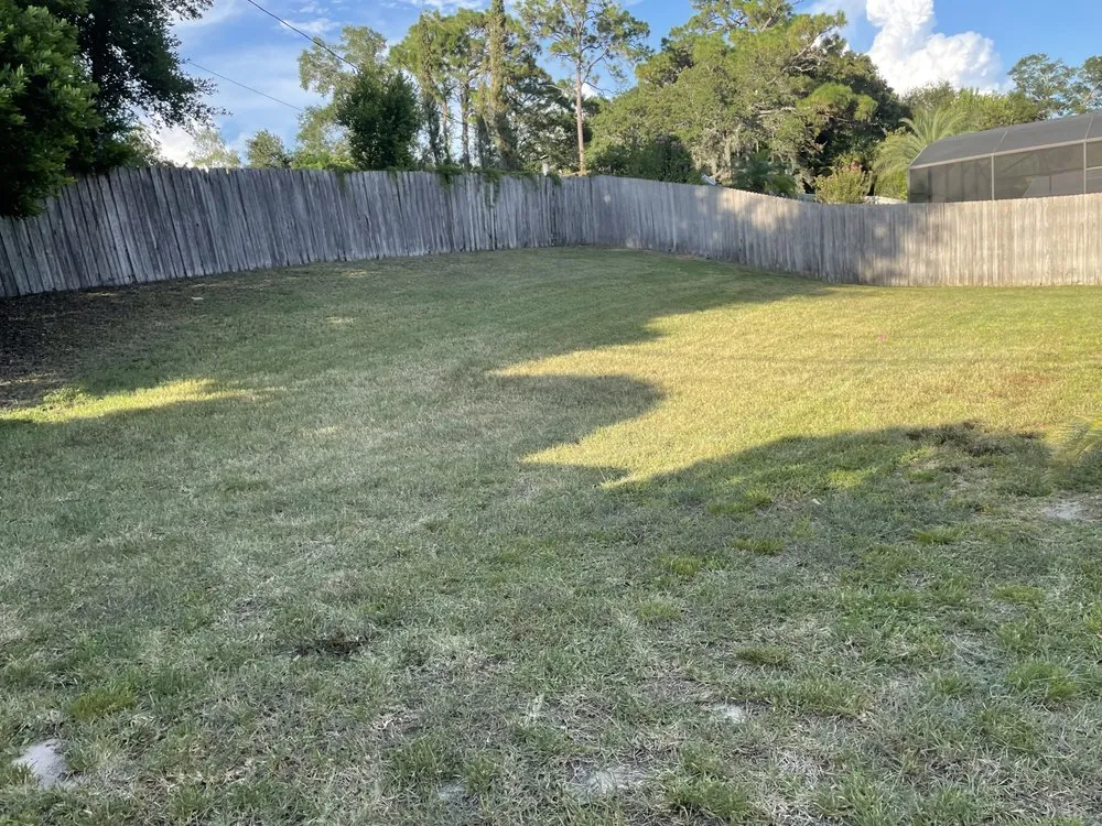 Professional landscaping services with custom design across Altamonte Springs, FL - Anyzone Lawn Care