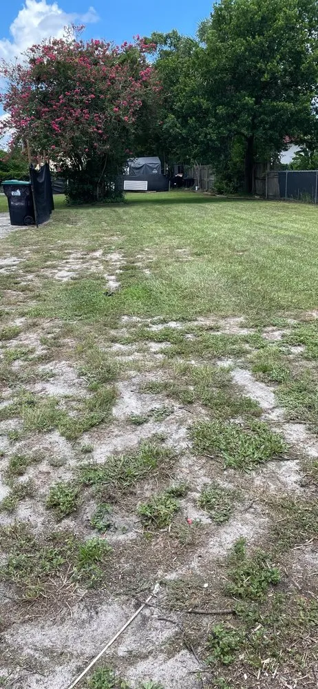 Professional residential landscaping in Altamonte Springs, FL - Anyzone Lawn Care