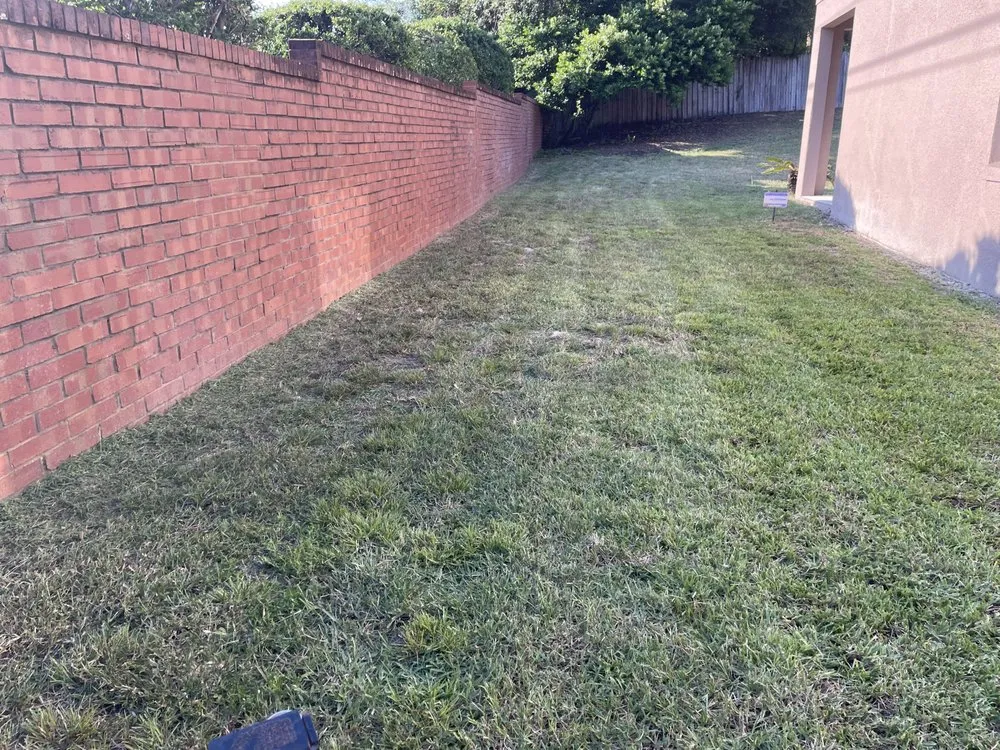 Reliable landscape installation for outdoor upgrades across Altamonte Springs, FL - Anyzone Lawn Care