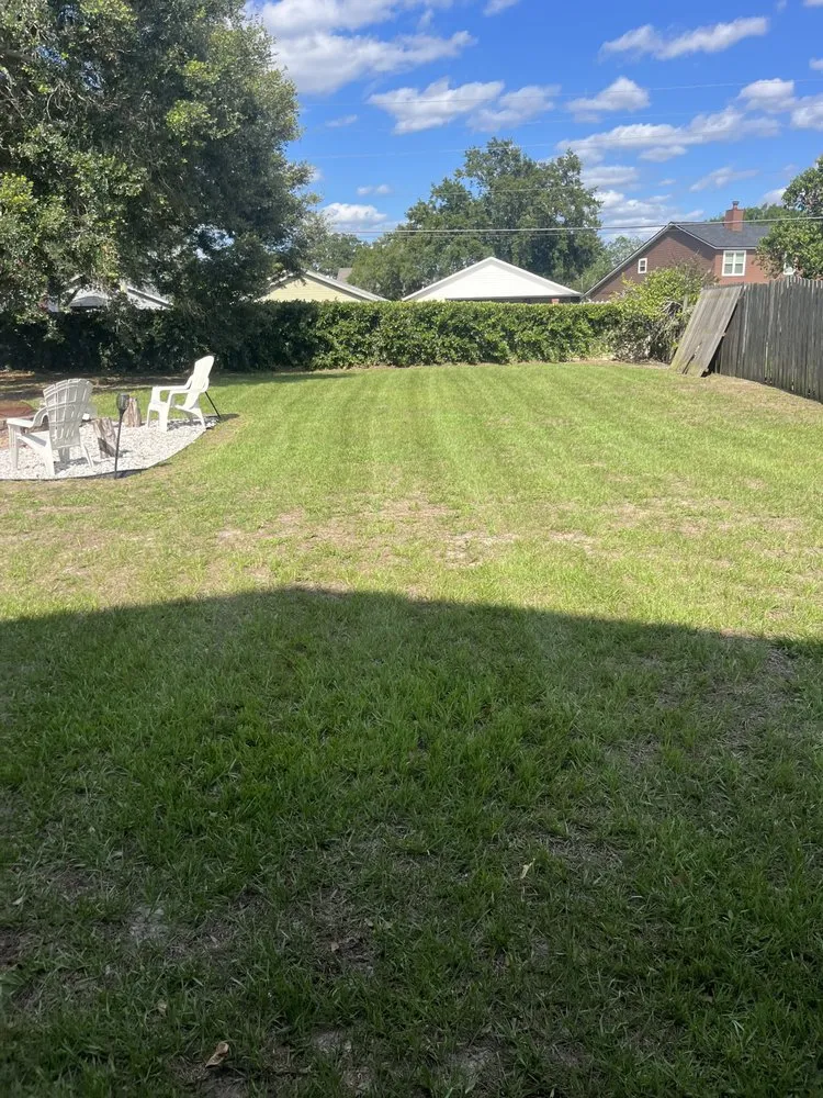 Professional landscaping services experts serving Altamonte Springs, FL - Anyzone Lawn Care