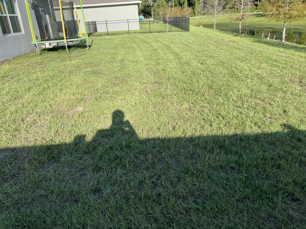 Expert outdoor landscaping with custom design across Altamonte Springs, FL - Anyzone Lawn Care