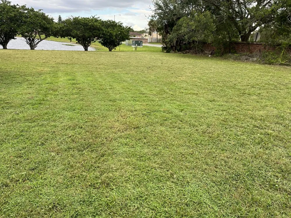 Trusted garden landscaping for homes across Altamonte Springs, FL - Anyzone Lawn Care