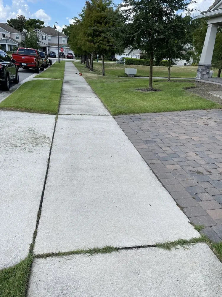 Custom outdoor landscaping for homes in Altamonte Springs, FL by Anyzone Lawn Care