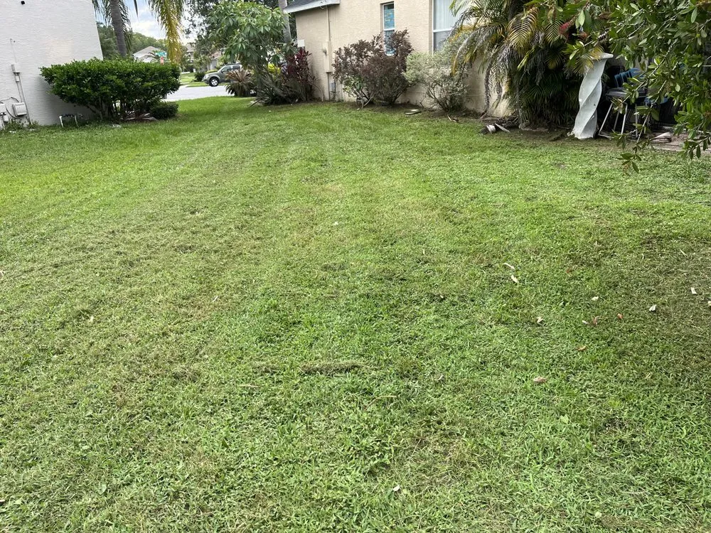 Custom residential landscaping in Altamonte Springs, FL - Anyzone Lawn Care