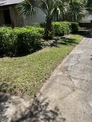 Anyzone Lawn Care Logo