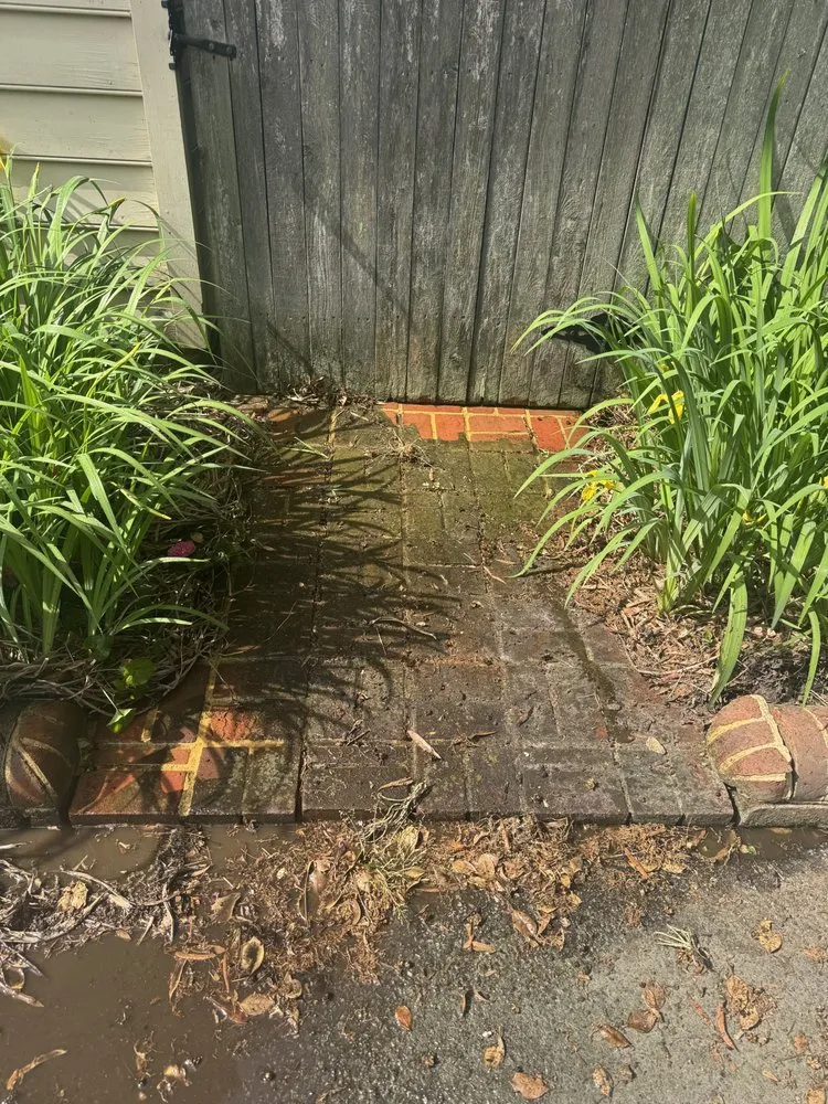 Local lawn mowing service experts serving Norfolk, VA - Ao Cleaning Service