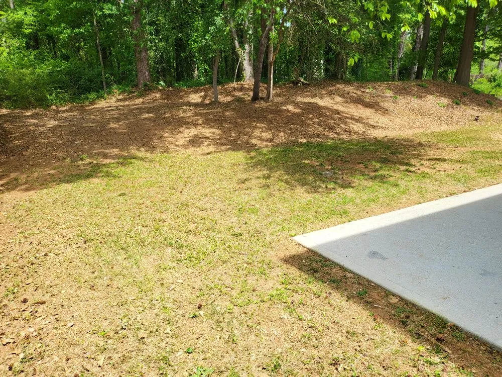 Professional yard maintenance for residential properties across Powder Springs, GA - A&O Lawn Care