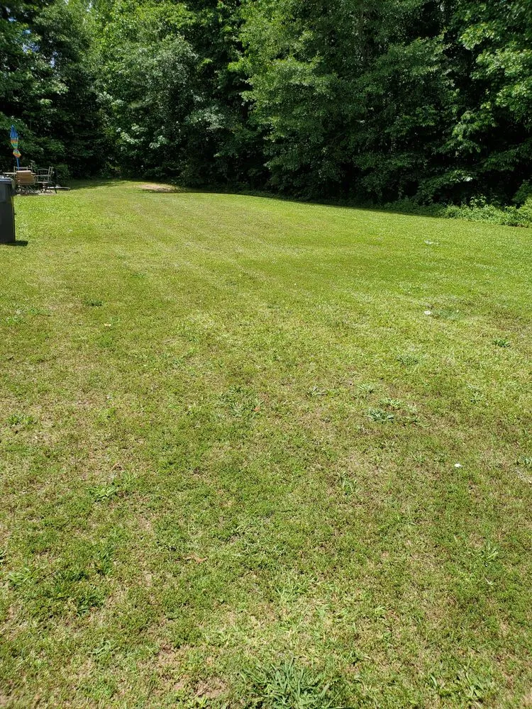 Reliable landscape installation experts serving Powder Springs, GA - A&O Lawn Care