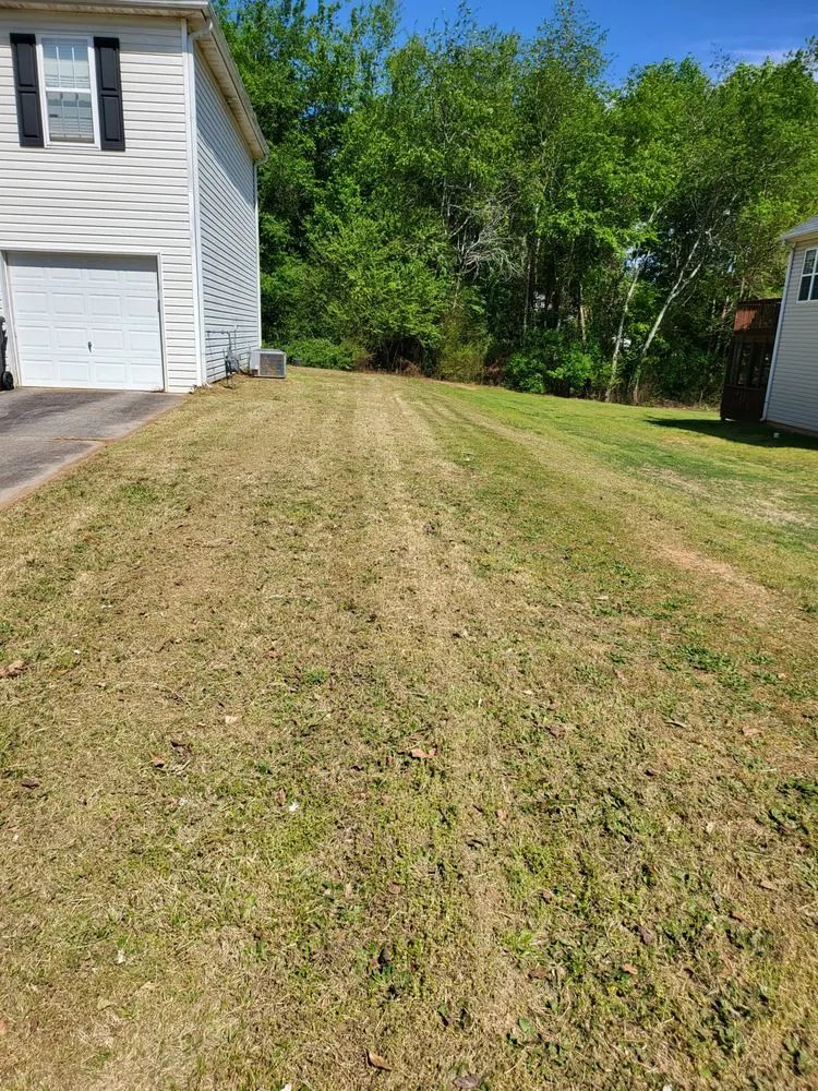 Expert lawn care service experts serving Powder Springs, GA - A&O Lawn Care