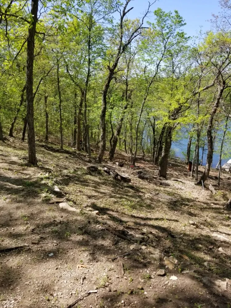 Top-rated landscape installation near you across Powder Springs, GA - A&O Lawn Care