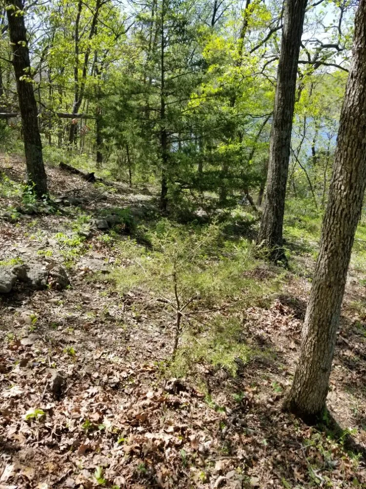 Reliable lawn care service for outdoor upgrades across Powder Springs, GA - A&O Lawn Care