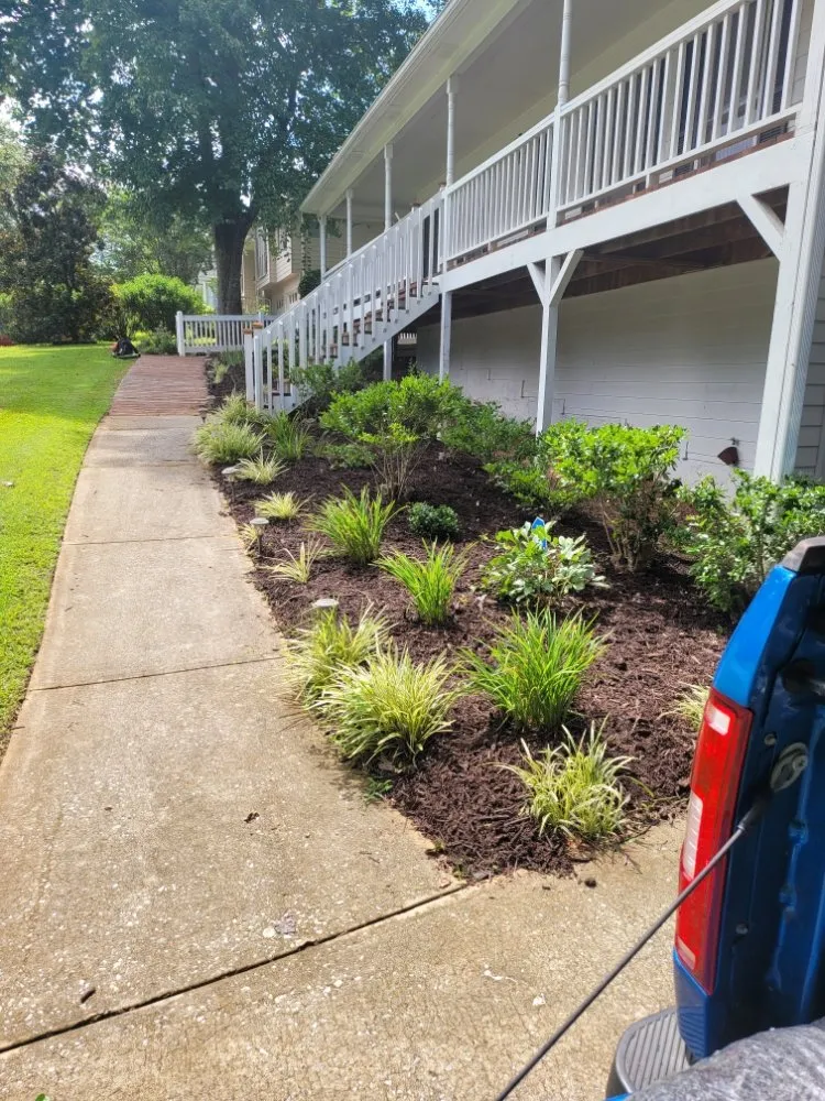 Custom yard cleanup service experts serving Powder Springs, GA - A&O Lawn Care