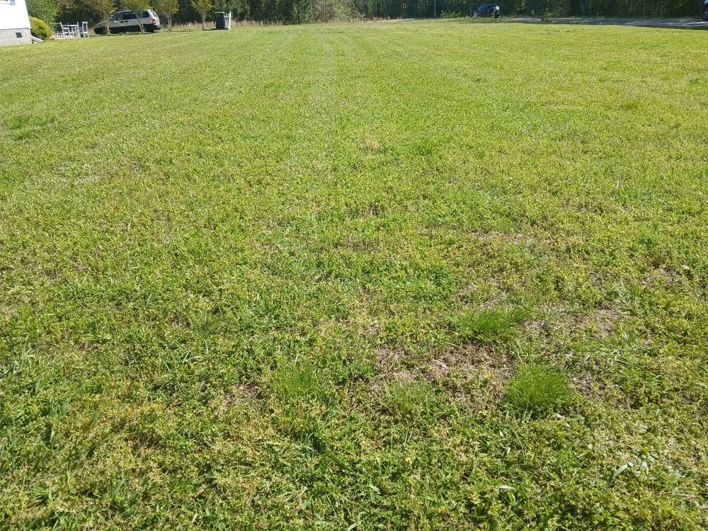 Affordable yard maintenance experts serving Leland, NC - Ao2 Lawn and Landscaping