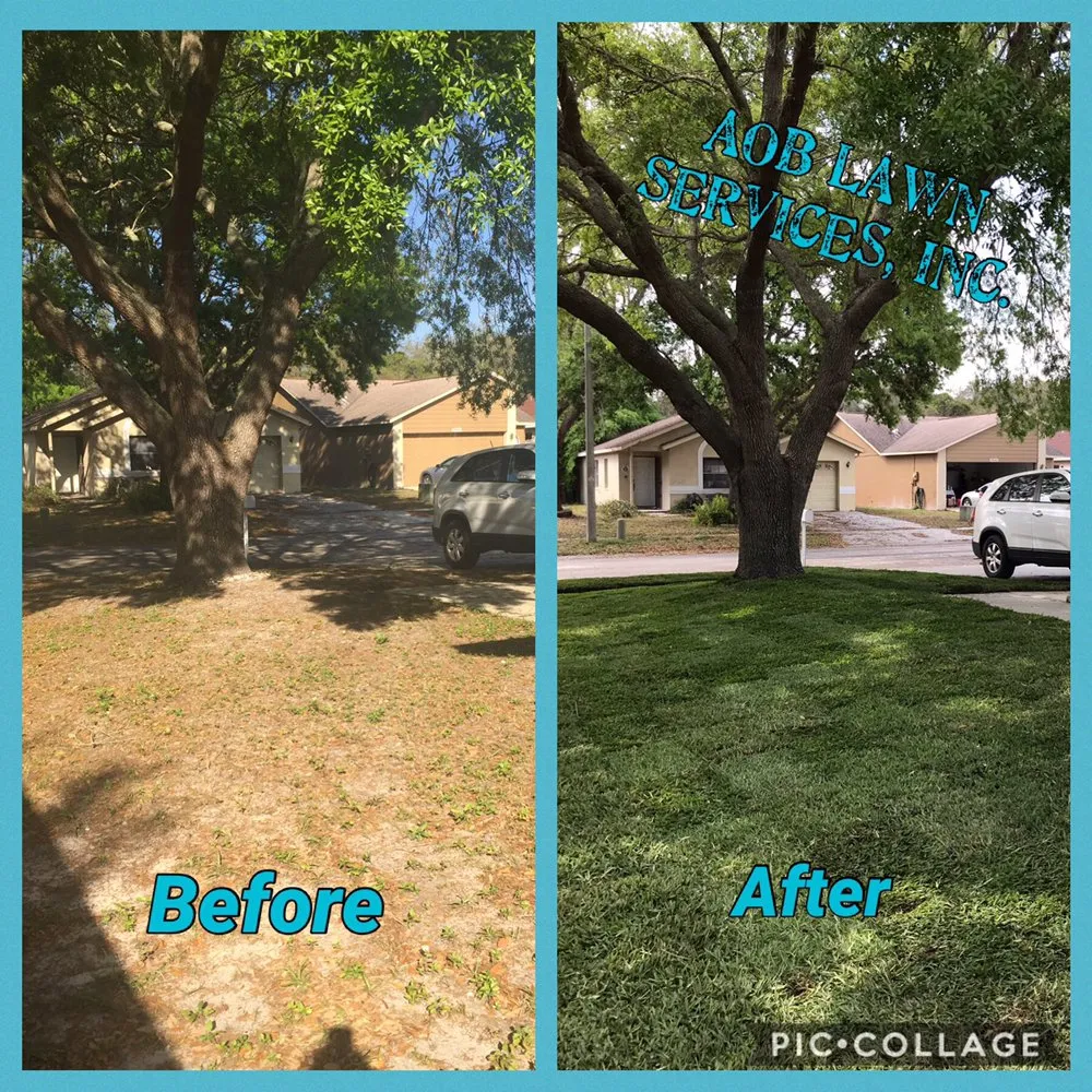 Top-rated outdoor landscaping in Riverview, FL - AOB Landscape & Design