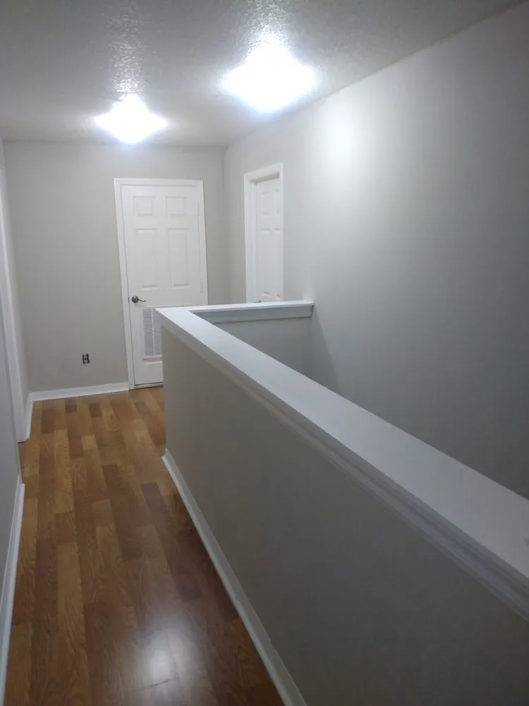 Top-rated yard cleanup service in Temple Terrace, FL by AOK Painting